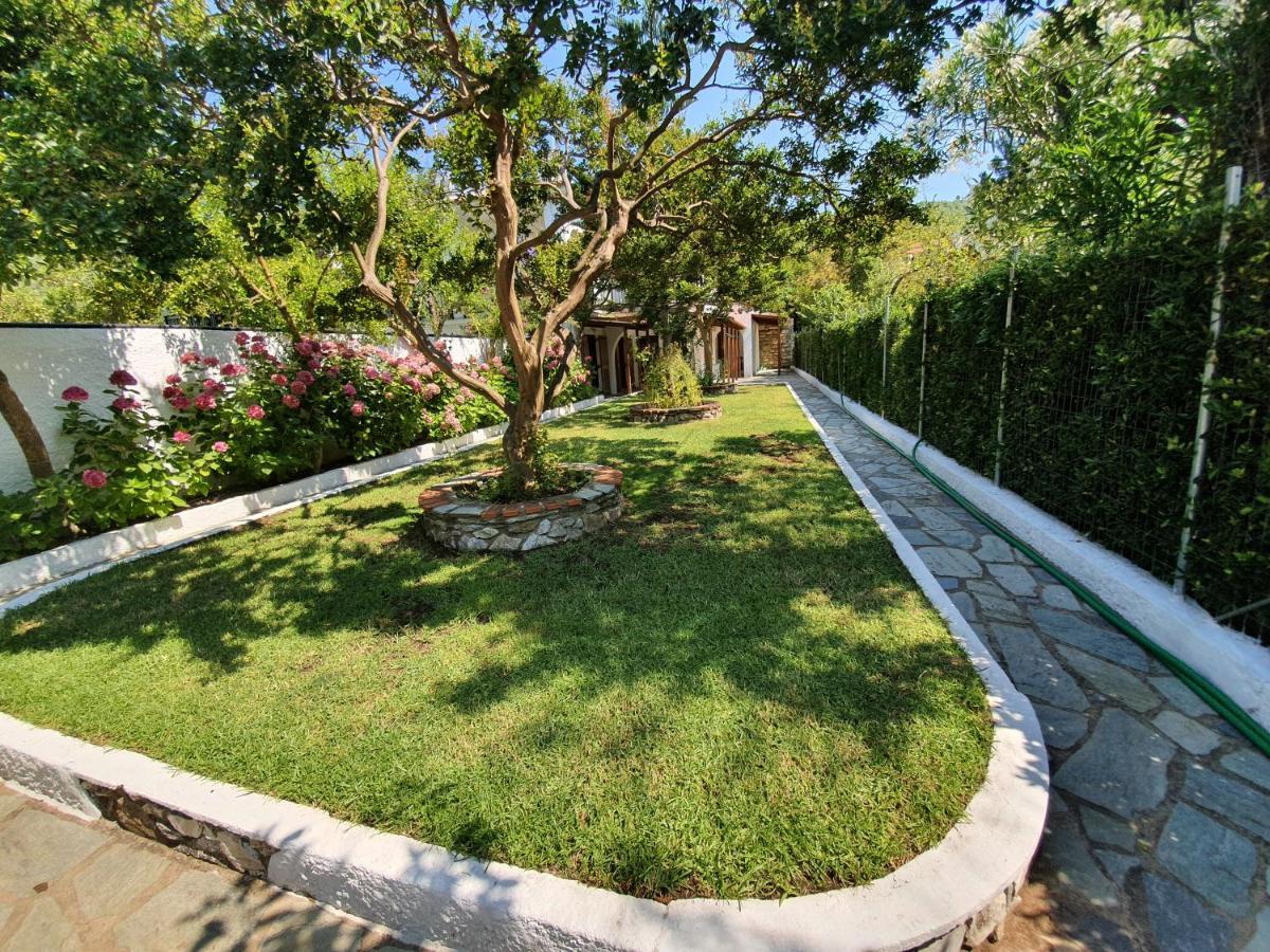Dionisos Studios And Apts Skiathos Koukounaries ภายนอก รูปภาพ