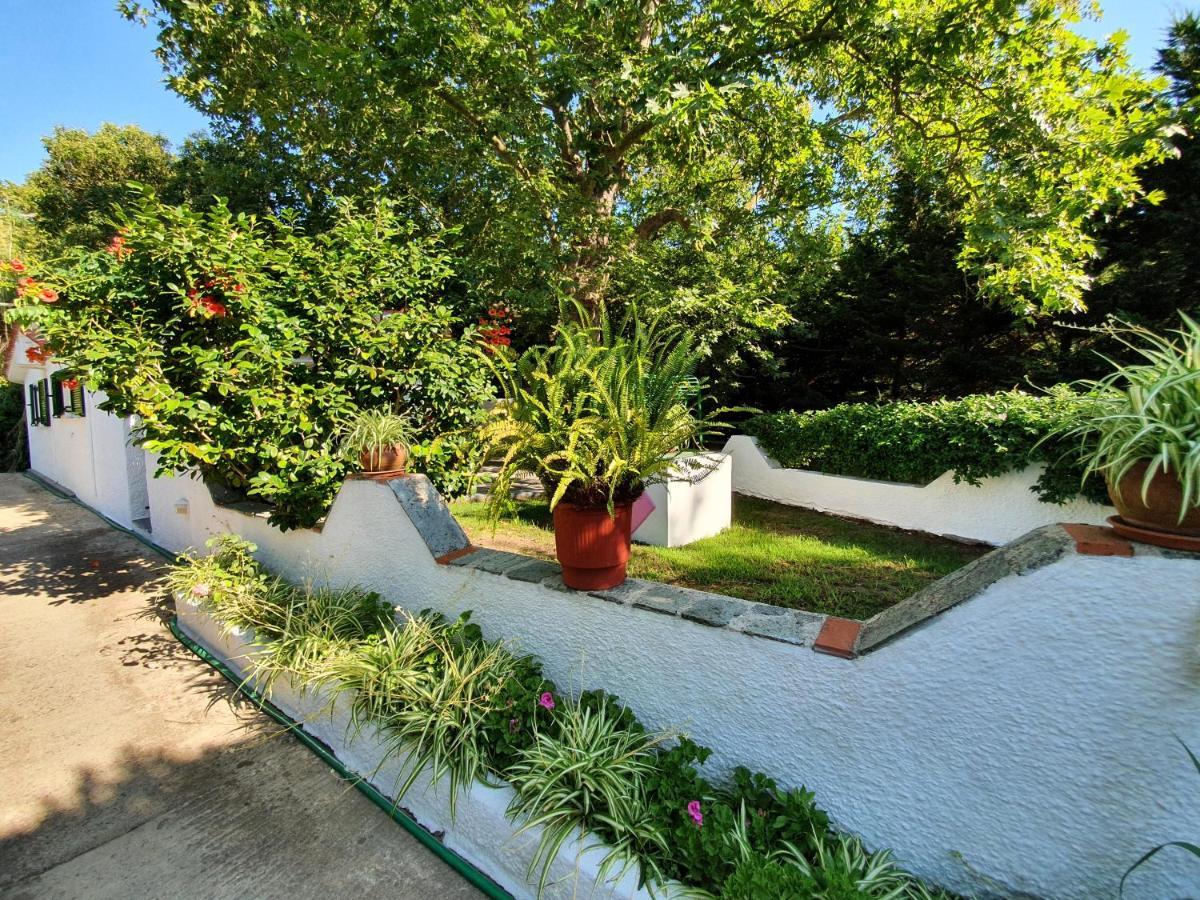 Dionisos Studios And Apts Skiathos Koukounaries ภายนอก รูปภาพ