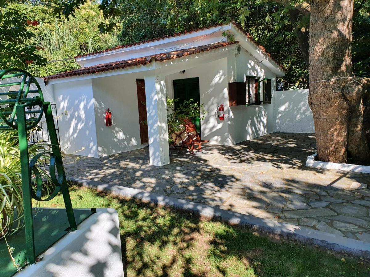 Dionisos Studios And Apts Skiathos Koukounaries ภายนอก รูปภาพ